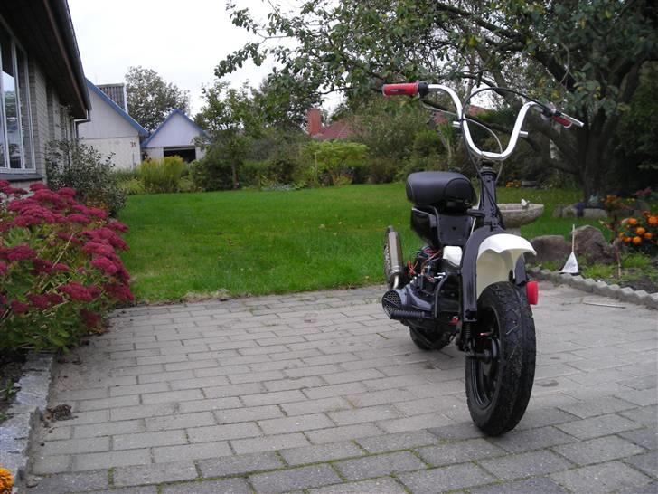 Suzuki Fz 50/jog (90%) EVO AC billede 13