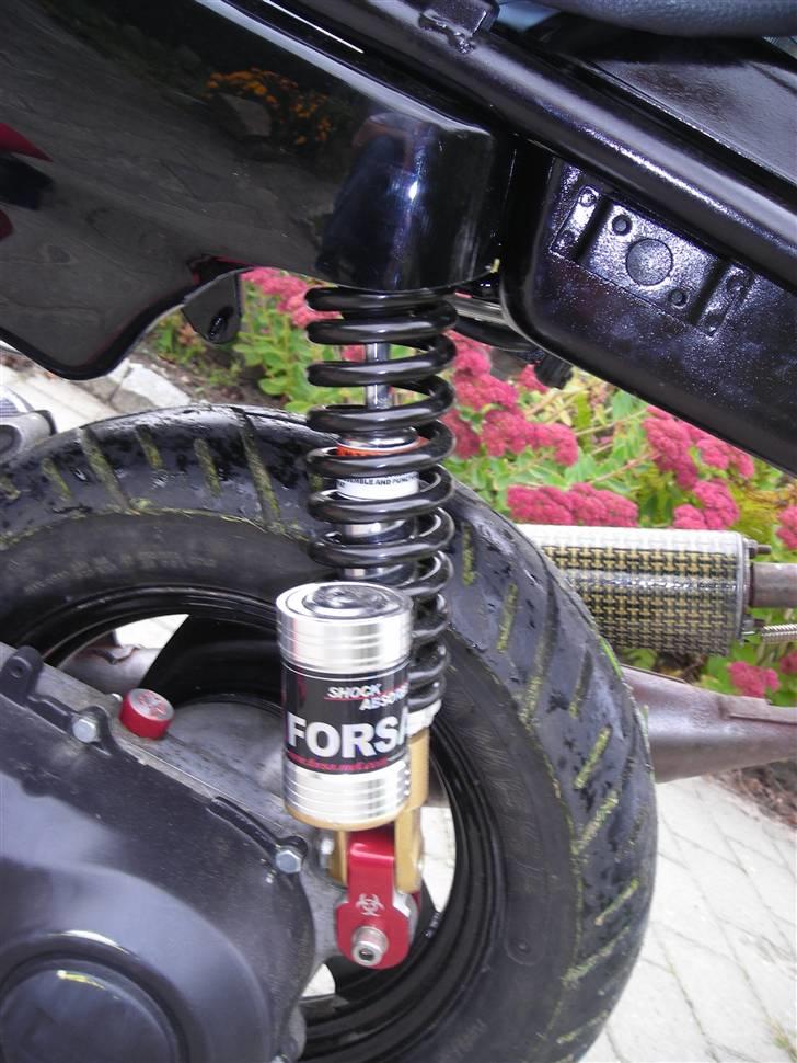 Suzuki Fz 50/jog (90%) EVO AC billede 15