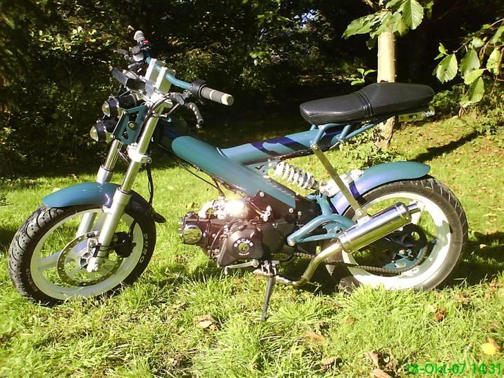 Sachs Madass, Kamæleon! SOLGT:( - her kan man se det lillae en smugle billede 14