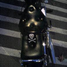 Regal Raptor (FØR) STJÅLET!!