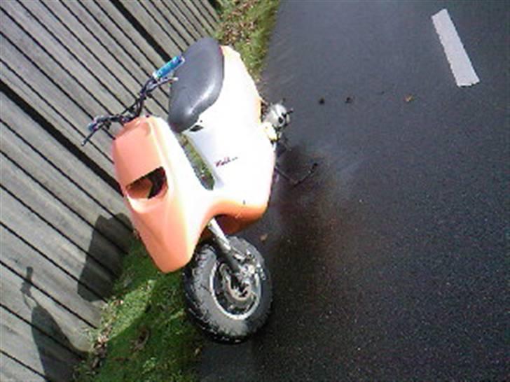 Piaggio Typhoon billede 2