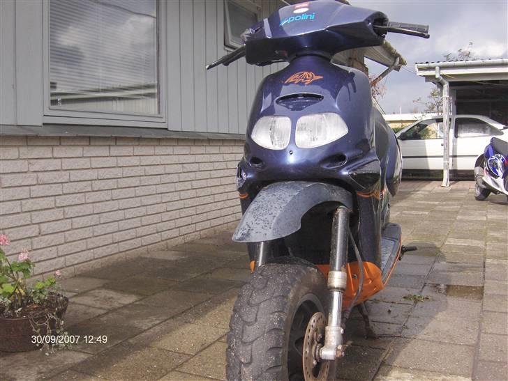 Aprilia *Rally* billede 10