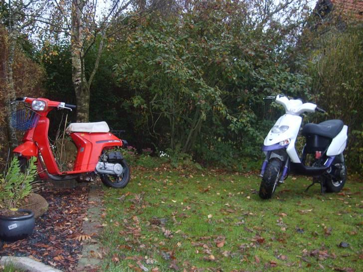 Honda melody FØR !! - Sammen med min stalker ;)  billede 3