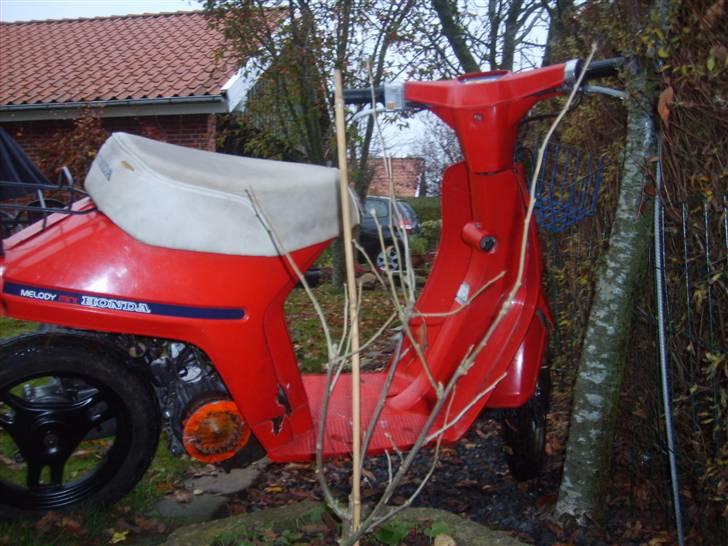 Honda melody FØR !! billede 4