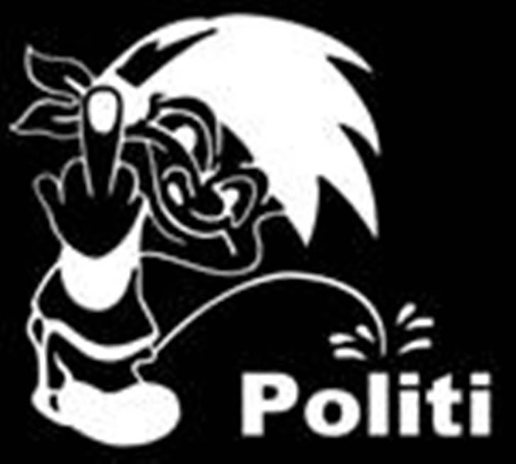 Rieju rs 2 team speed billede 14