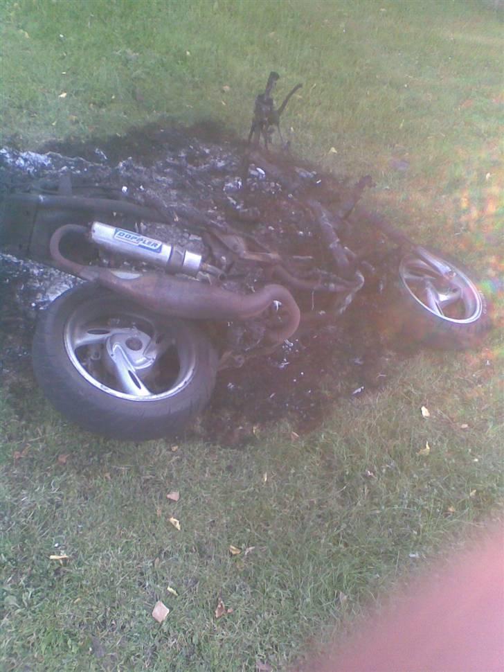 PGO Hot 50 (DØD) billede 8