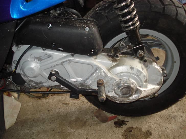 Gilera stalker (byttet til tyffe billede 11