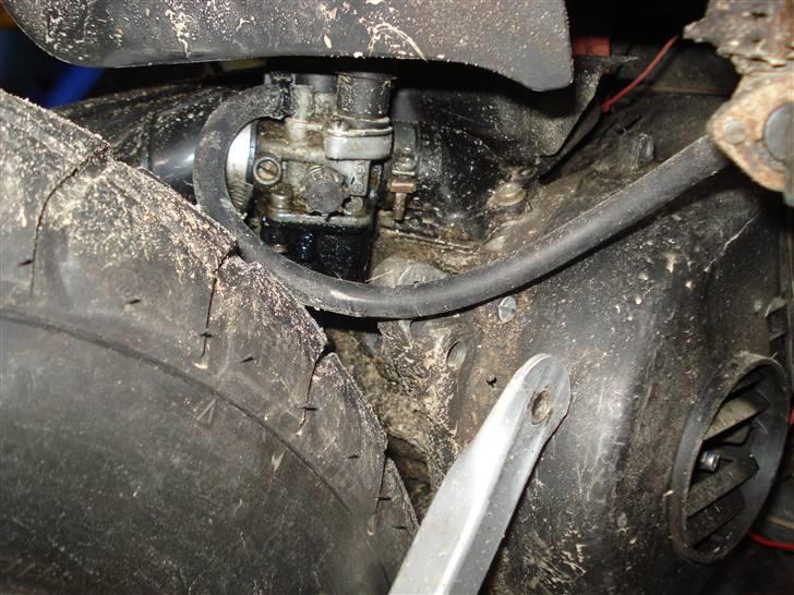 Gilera stalker (byttet til tyffe billede 13