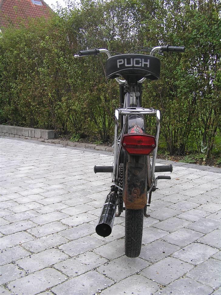 Puch Maxi - K  billede 11