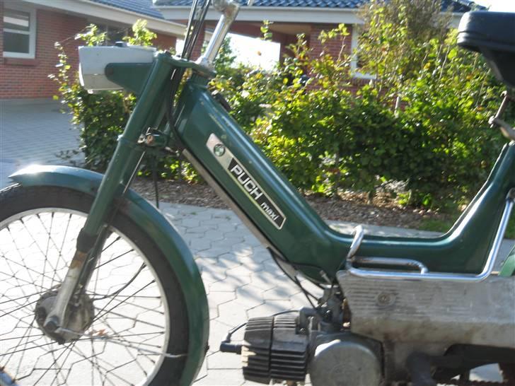 Puch e50 maxi k(solgt) billede 5