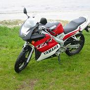 Yamaha TZR