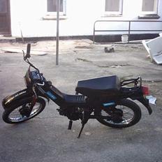 Yamaha STING "SOLGT"