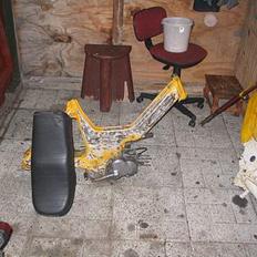 Puch Maxi (Projekt)