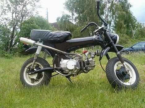 Honda Dax solgt billede 1