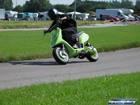 Piaggio Typhoon "custom" TIL SALG - På banen til ALS 05 billede 1