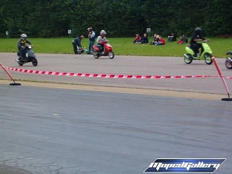 Piaggio Typhoon "custom" TIL SALG - På banen til ALS 05 billede 3