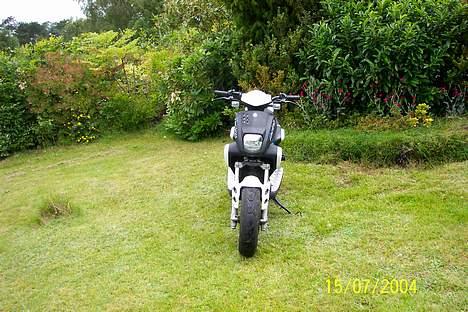 Yamaha Slider (RACER) billede 9