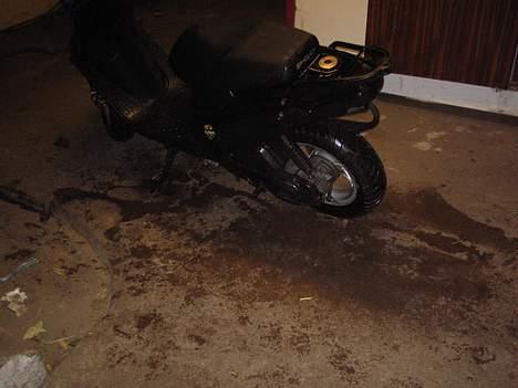 PGO Hot 50 (væk) billede 4