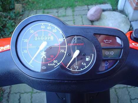 Peugeot TKR WRC 206 #SOLGT# billede 3