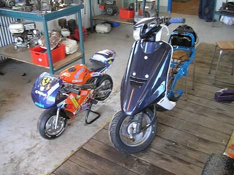 MiniBike pocketbike {Solgt} - Pocketbiken sammen med min jog billede 10