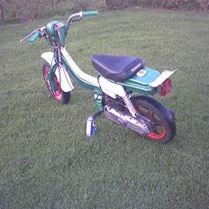 Suzuki fz 50 (SOLGT)