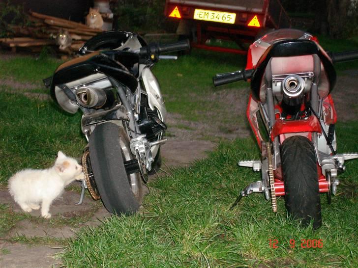 MiniBike minibike - tjekker lige om det virker billede 9