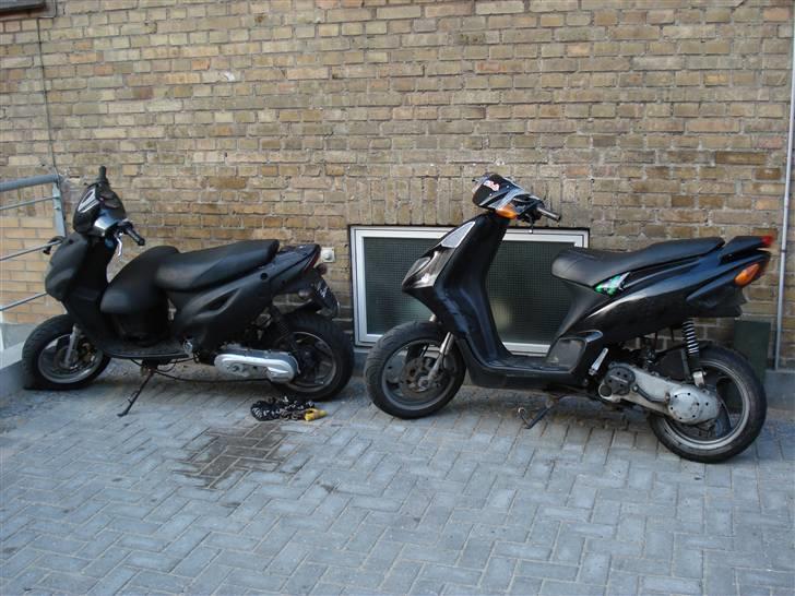 Piaggio NRG mc3 [the black rider] - så står den lige og hyggesnakker med poppen billede 17