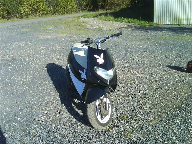 Suzuki Estilete byttede til jog billede 5