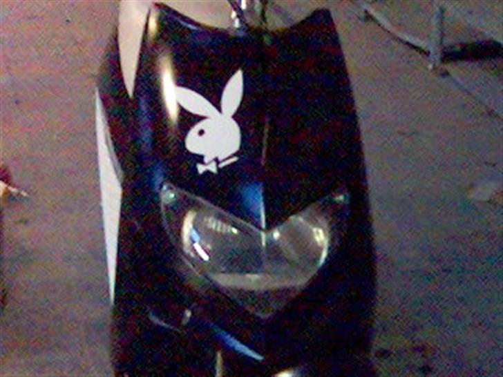 Suzuki Estilete byttede til jog billede 7