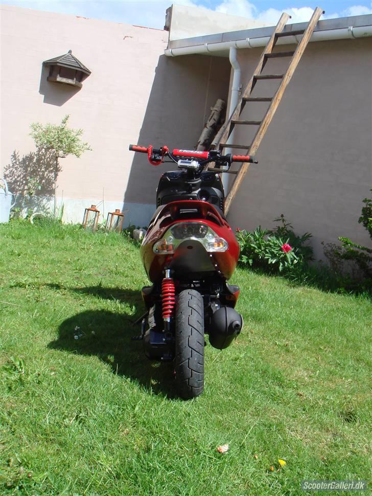 Aprilia sonic               (før) billede 8