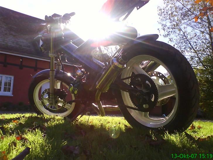 Sachs Madass, Kamæleon! SOLGT:( billede 17