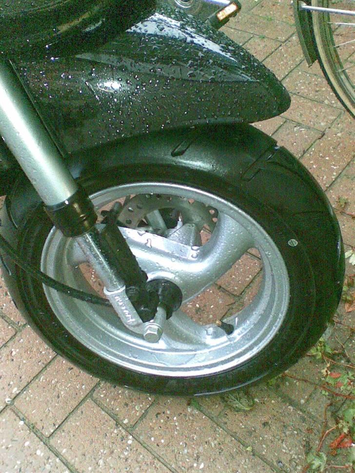 Peugeot Vivacity '07 - ¬ » Scooterens fordæk « ° billede 5