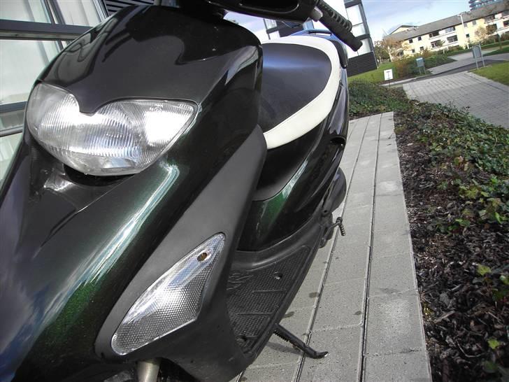 Honda SFX (SOLGT) billede 1