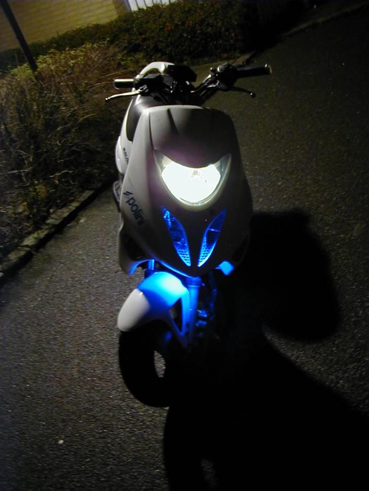 Adly Thunderbike (Fie) billede 15