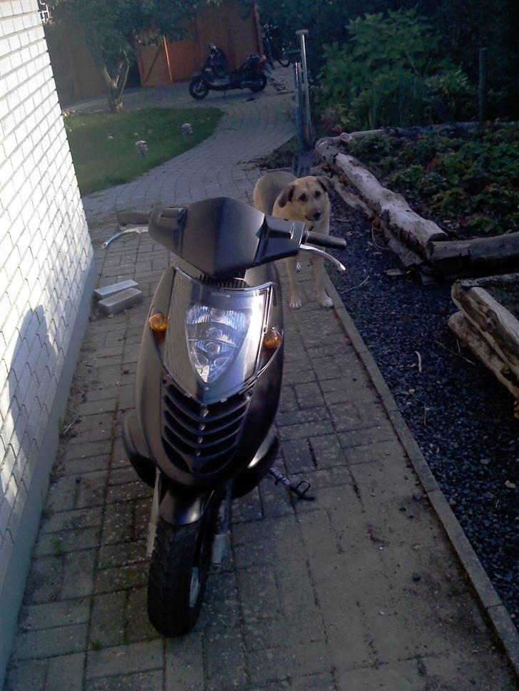 Aprilia sonic SOLGT :'( billede 1