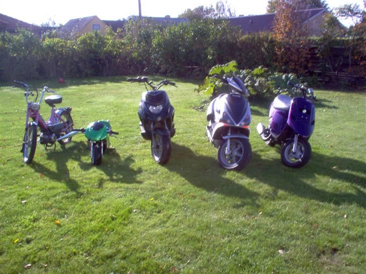 MiniBike 47c pocket byttet til jog billede 8