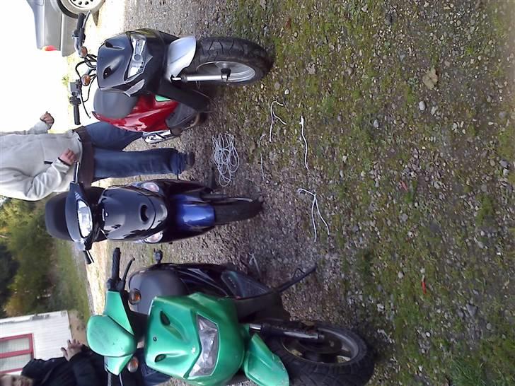 CPI Popcorn*SOGLT* billede 2