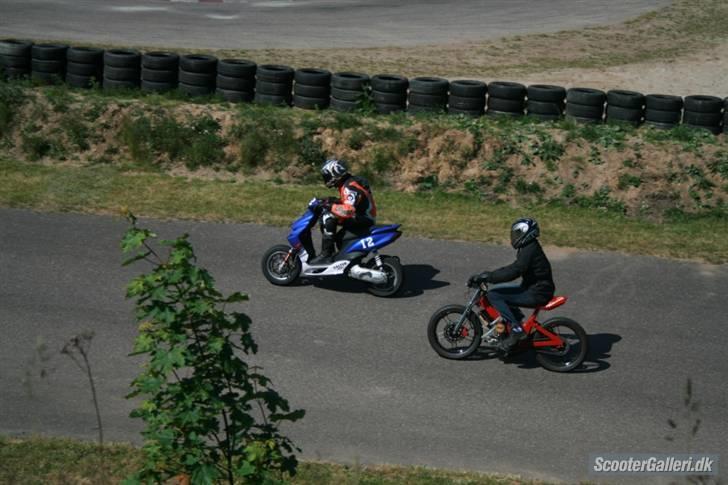 Puch Maxi ombygget solgt billede 10