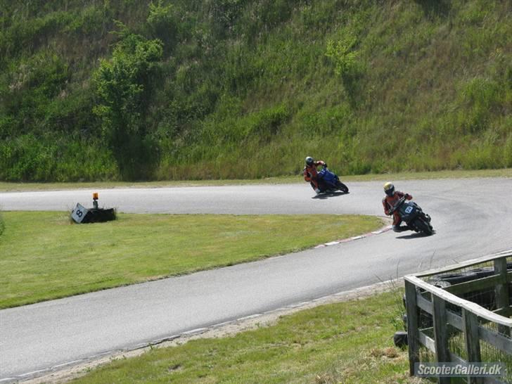 Puch Maxi ombygget solgt - Katten efter musen ;) billede 15