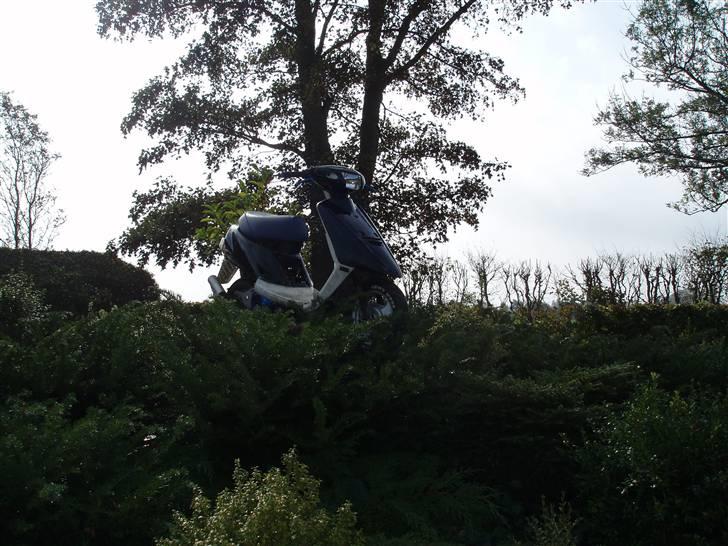 Yamaha Jog as Byttet billede 11