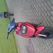 PGO bytte til jog