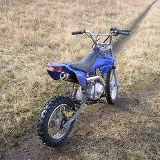 MiniBike 110cc (byttet til DM 50)
