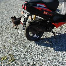 Aprilia sr50 lc dd. BYTTET