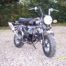 Skyteam Monkey ***141ccm***