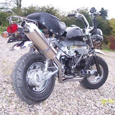 Skyteam Monkey ***141ccm***