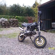 Sinski Shineray Motard (SOLGT)
