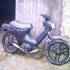 Honda Wallaroo (solgt)