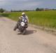 PGO atv