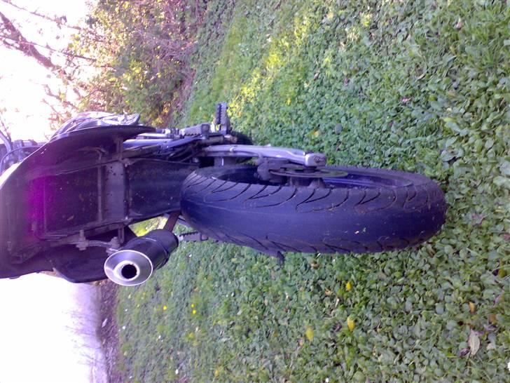 Derbi Senda (solgt)  billede 5