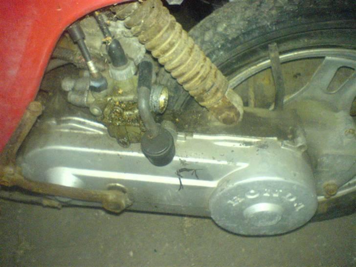 Honda Melody Mini billede 4